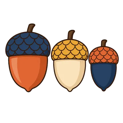 Three acorns illustration, free PNG
