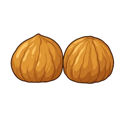 Chestnuts illustration, free PNG