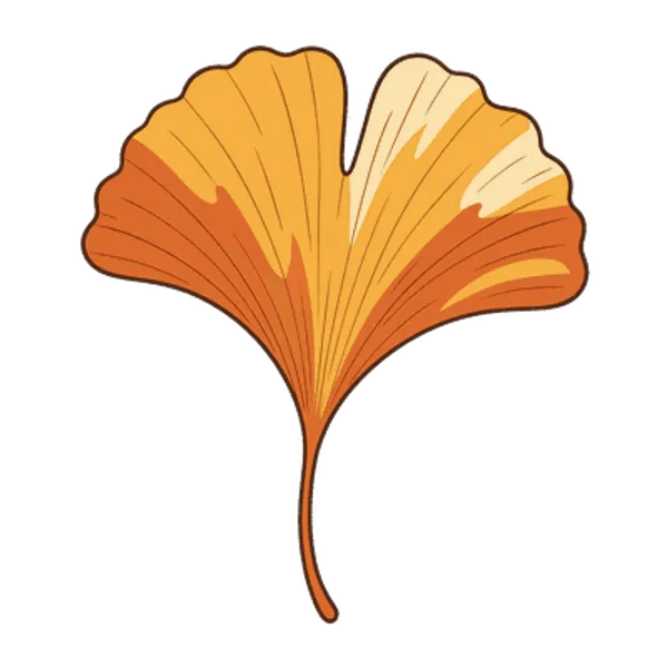 Ginkgo leaf, free transparent PNG illustration