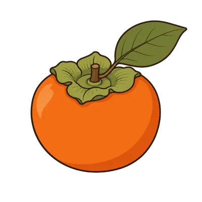 Persimmon illustration, free PNG